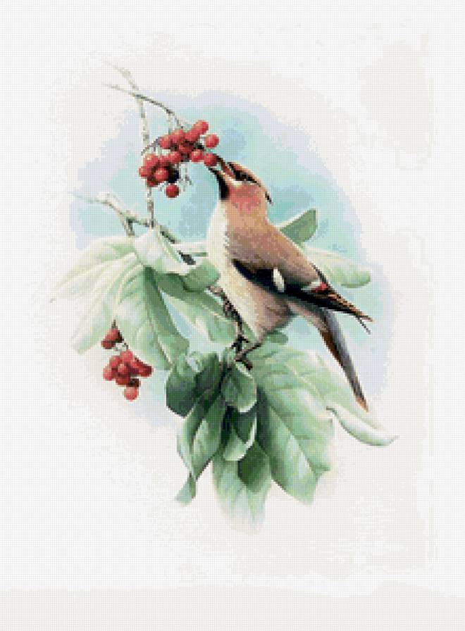 Птица на ветке - птицы, цветы - предпросмотр