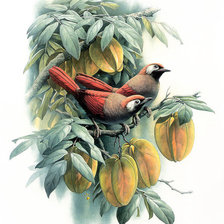 Схема вышивки «Птица на ветке»