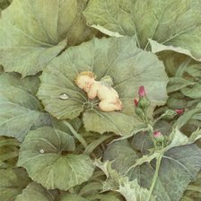 Схема вышивки «малыш»