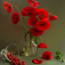 Схема вышивки «маки и малина»