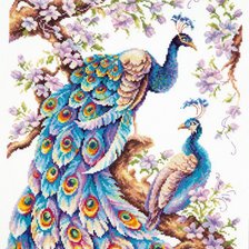 Схема вышивки «Павлины»