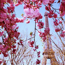 Весна в Париже