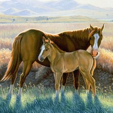 Схема вышивки «лошадки»