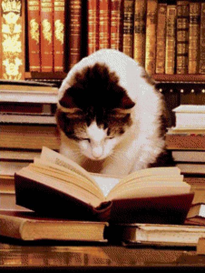 Кот ученый - кошки, животные, книги - предпросмотр