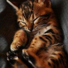 Схема вышивки «Сладкий сон»