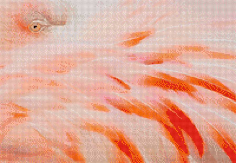 фламинго - фламинго - предпросмотр