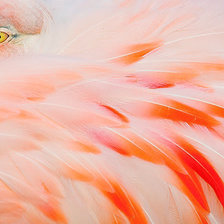 Схема вышивки «фламинго»