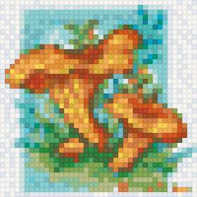 грибы - грибы - предпросмотр