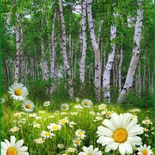 Схема вышивки «№870338»