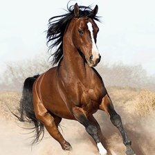 Схема вышивки «№870374»