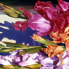 Схема вышивки «гладиолусы»