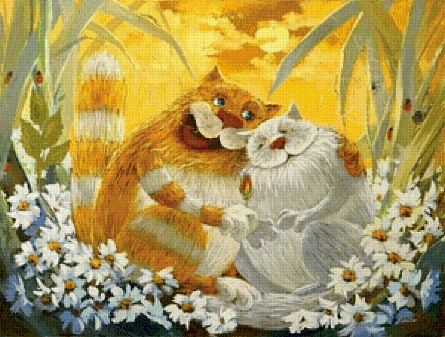 Кошки на ромашковом поле - ромашки, любовь, мило, кошки, кот - предпросмотр