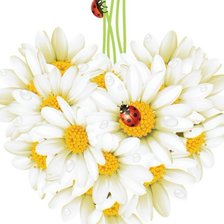 Схема вышивки «ромашковое сердце»