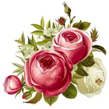 Схема вышивки «розочки6»