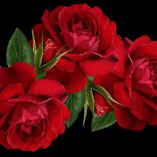 Схема вышивки «розы»