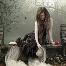 Схема вышивки «Черная невеста»