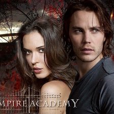 Схема вышивки «Академия вампиров»