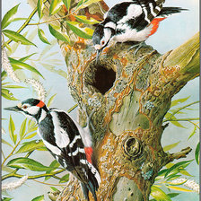 Схема вышивки «№871704»