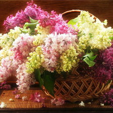 Схема вышивки «пышная сирень»