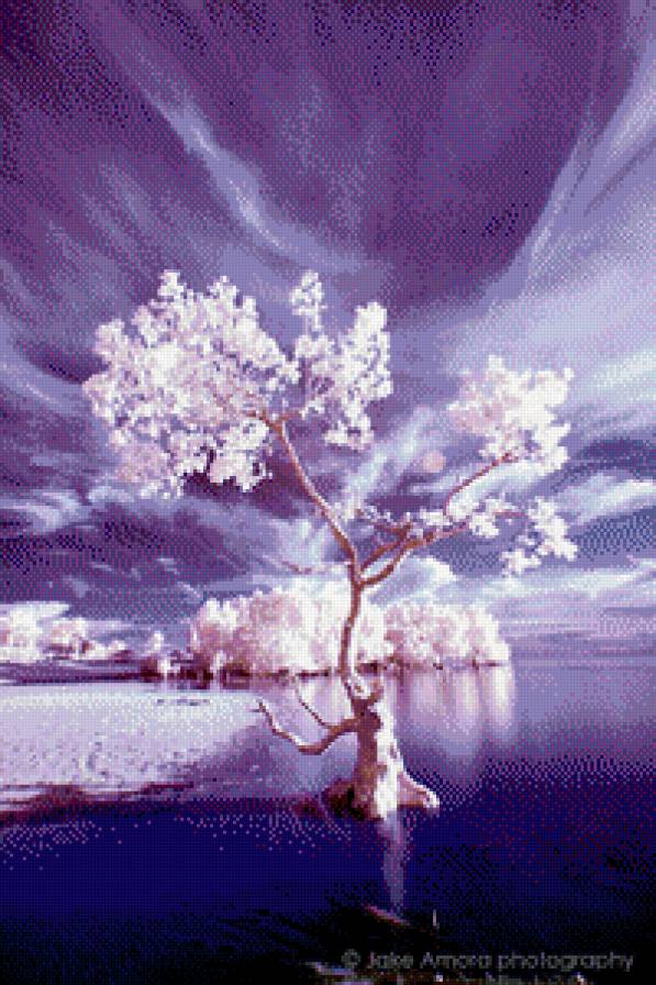 пейзаж - пейзаж, природа - предпросмотр