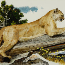 Схема вышивки «пума»