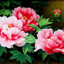 Схема вышивки «пионы»