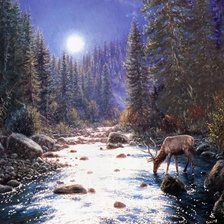 Схема вышивки «при луне»