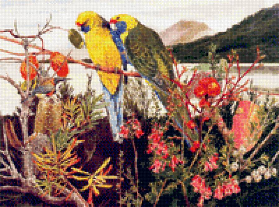 яркая парочка - тропики, пара, птицы, цветы, попугаи, пейзаж, красота - предпросмотр