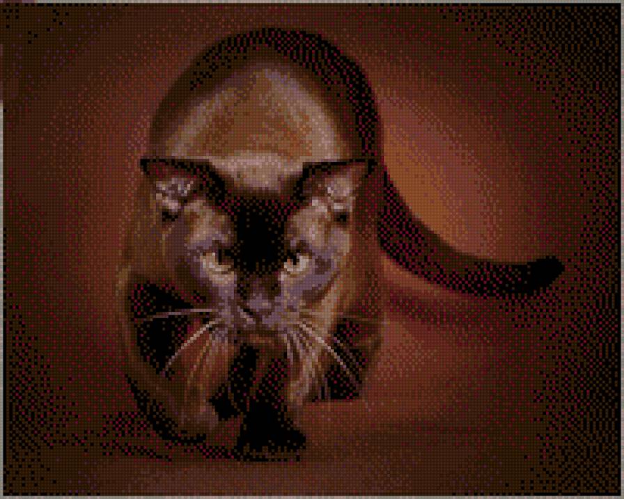 Шоколадная пантера - предпросмотр