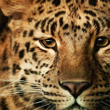 Схема вышивки «№ 53»