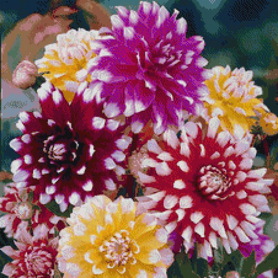 Георгины - георгин - предпросмотр