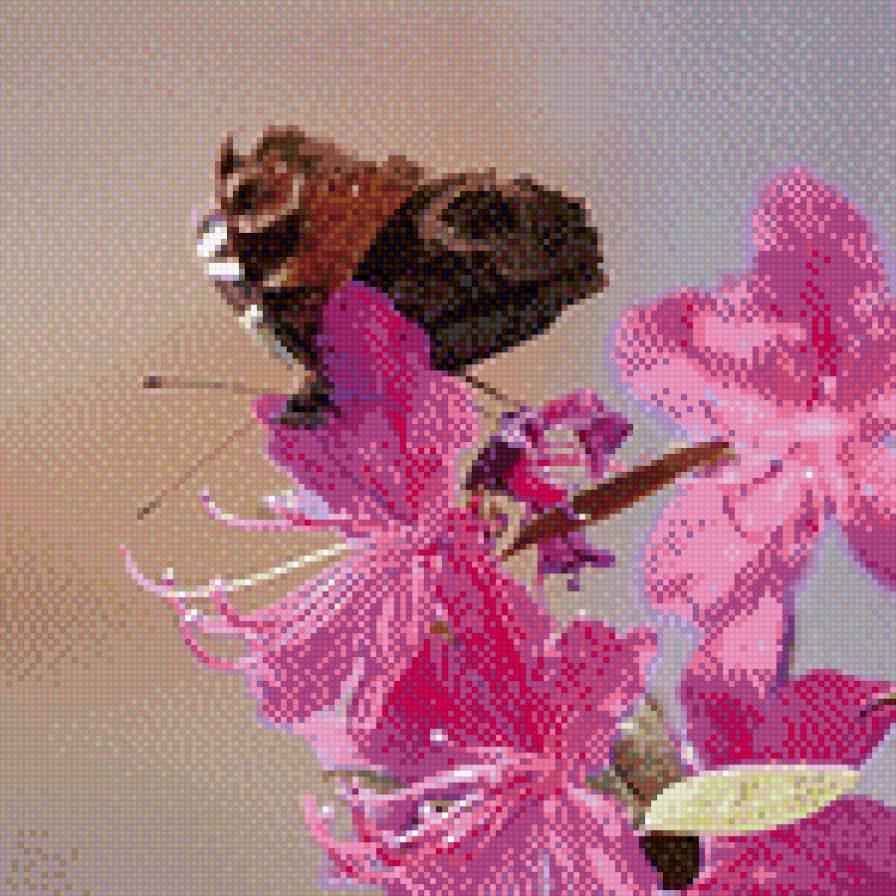 цветет багульник - цветы, бабочки - предпросмотр