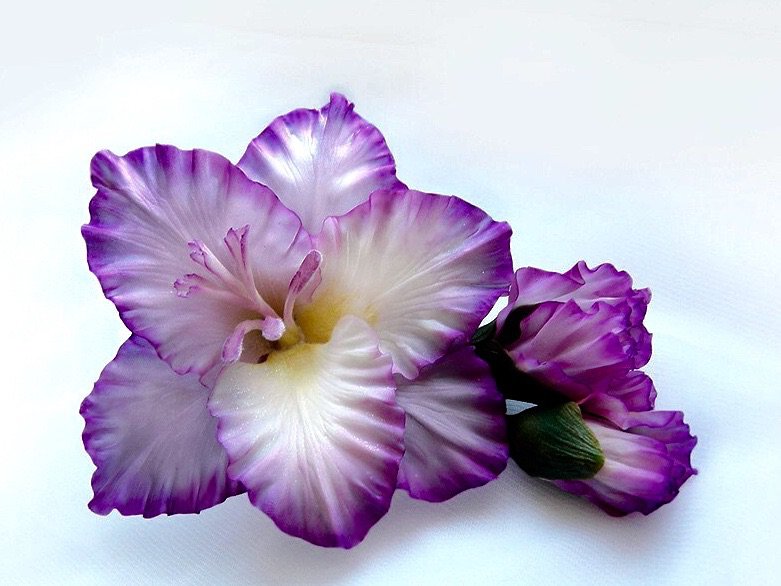 Гладиолус - оригинал