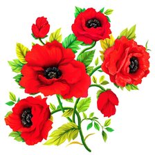 Схема вышивки «красные маки»