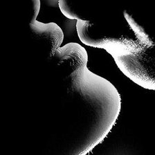 Схема вышивки «поцелуй»