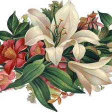 Схема вышивки «букет»