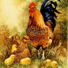 Схема вышивки «петушок с курочкой и цыплятками»