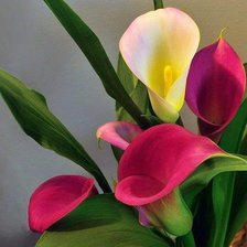 Схема вышивки «Цветы»