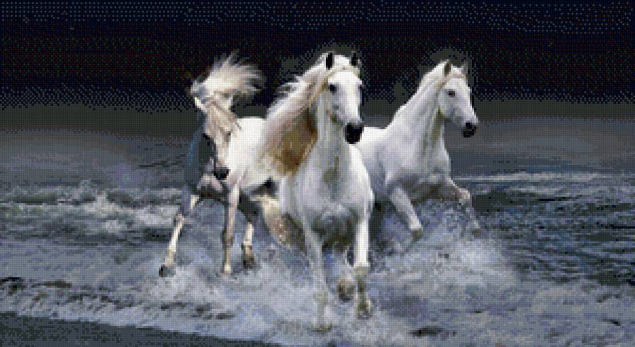 Лошади - кони, лошади, животные - предпросмотр