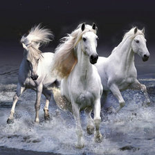 Схема вышивки «Лошади»