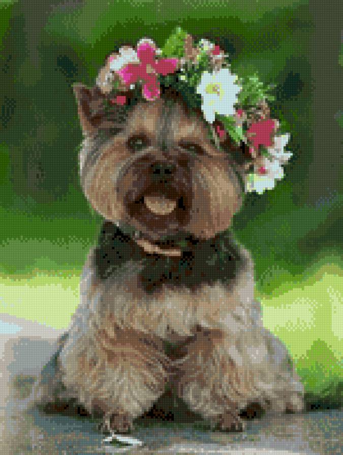 щеночек - весна, собачка, животные - предпросмотр