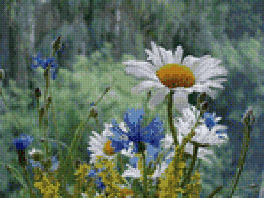 ромахи - предпросмотр