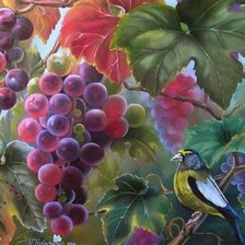 Схема вышивки «ussan vzem»