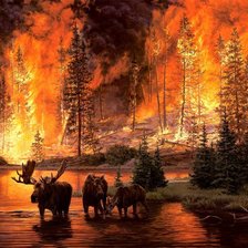 Схема вышивки «лес в огне»