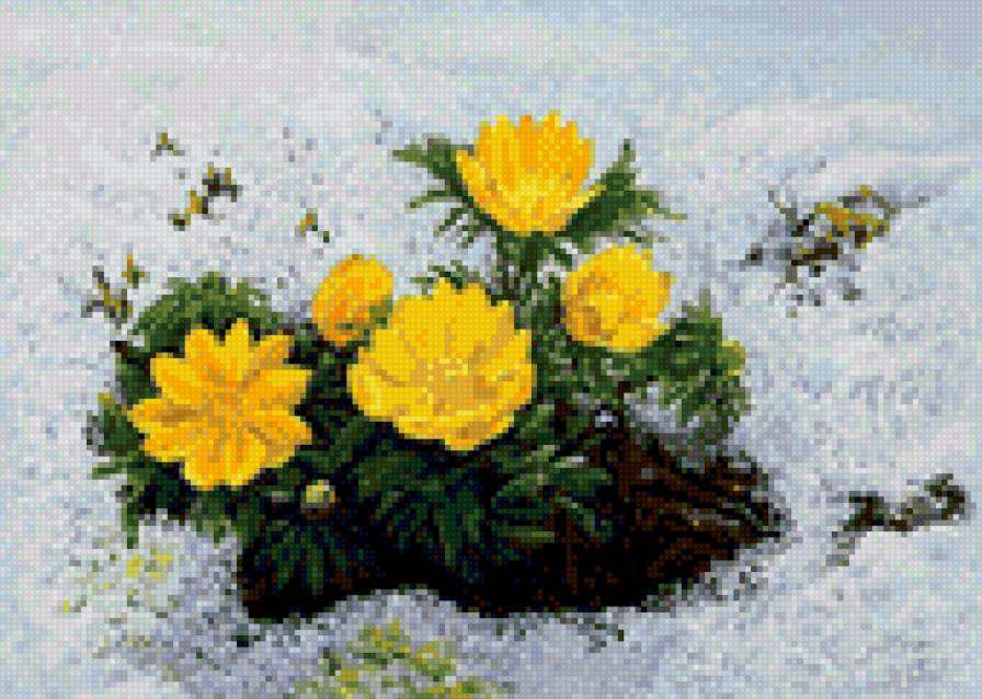 Подснежники - подснежники - предпросмотр