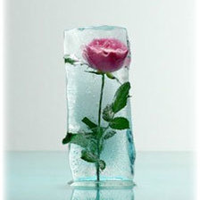 Схема вышивки «роза»