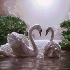 Схема вышивки «Лебеди»