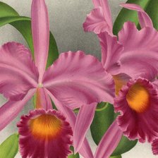 Схема вышивки «№874302»