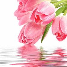 Схема вышивки «№874304»