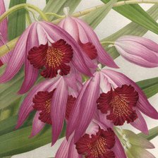 Схема вышивки «№874307»